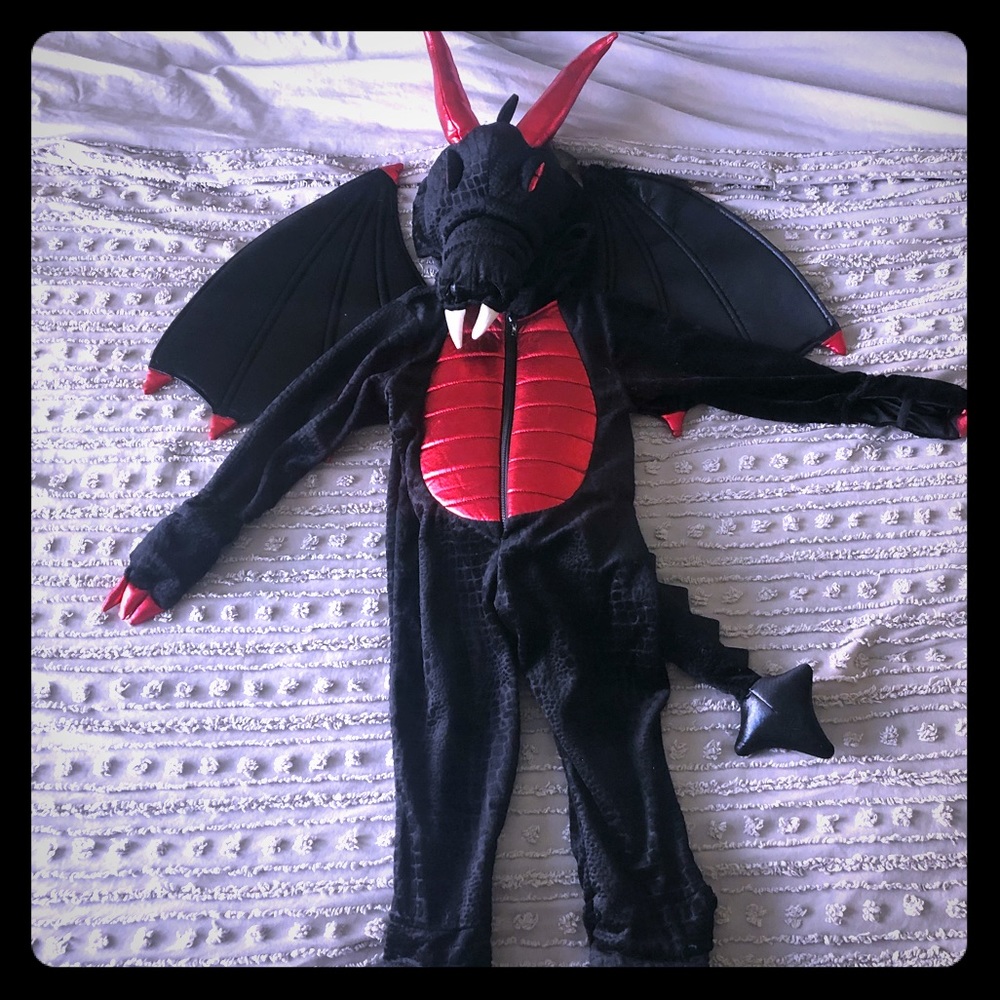 Dragon costume (4t)